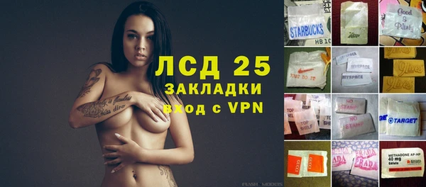 ешки Аркадак