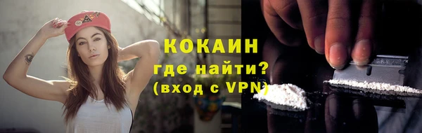 ешки Аркадак