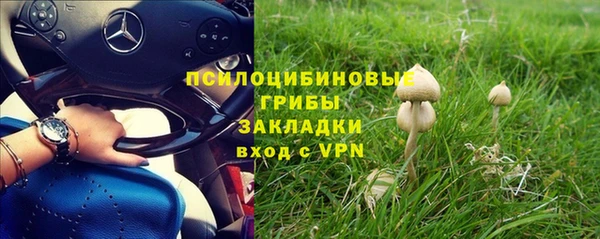 прущие крисы Армянск
