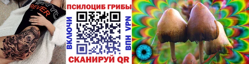 Псилоцибиновые грибы Psilocybine cubensis  кракен зеркало  Ухта 